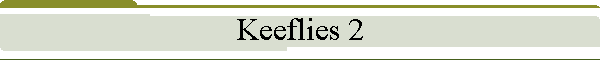 Keeflies 2